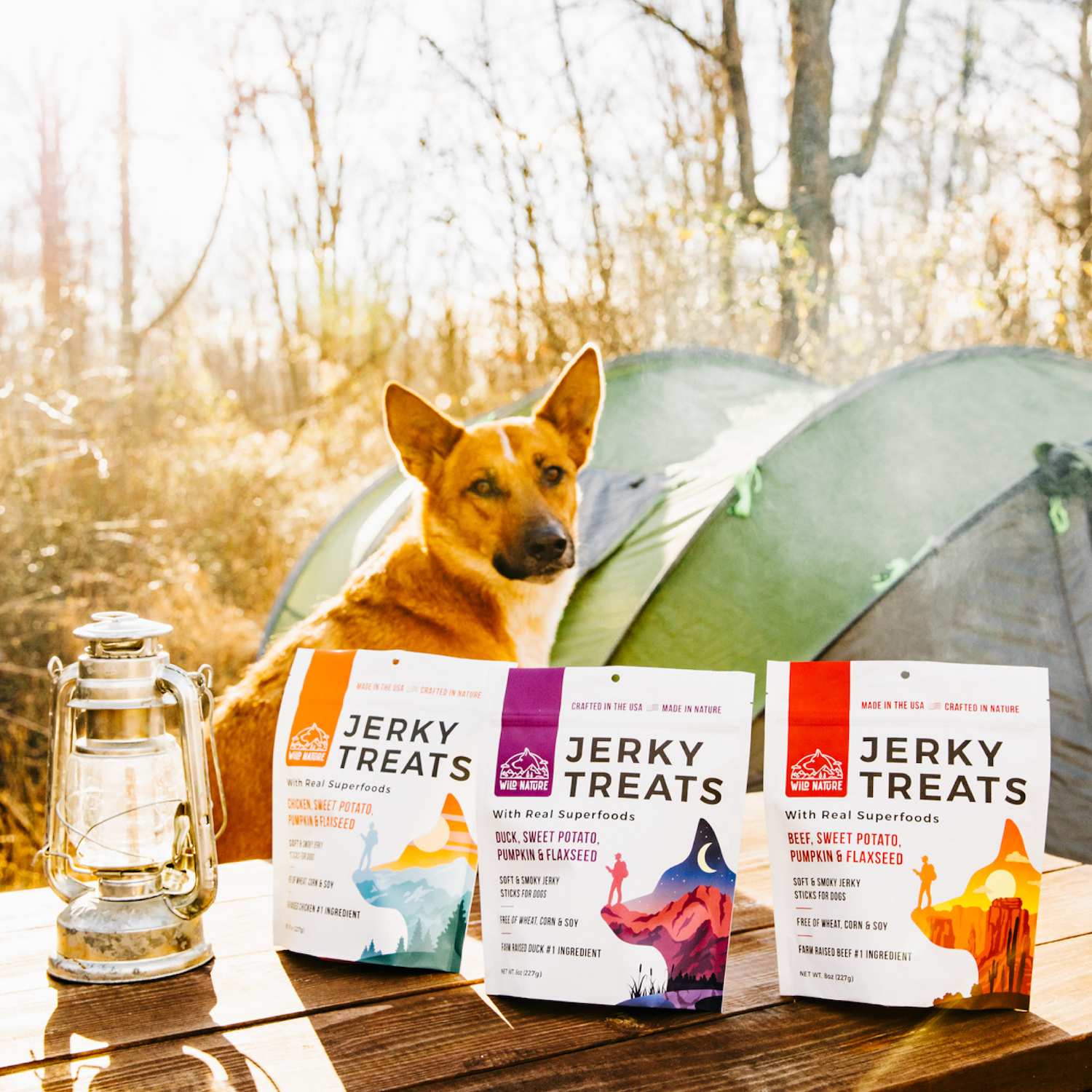 Wild Ranger Jerky Dog Treats Variety 3-Pack V5