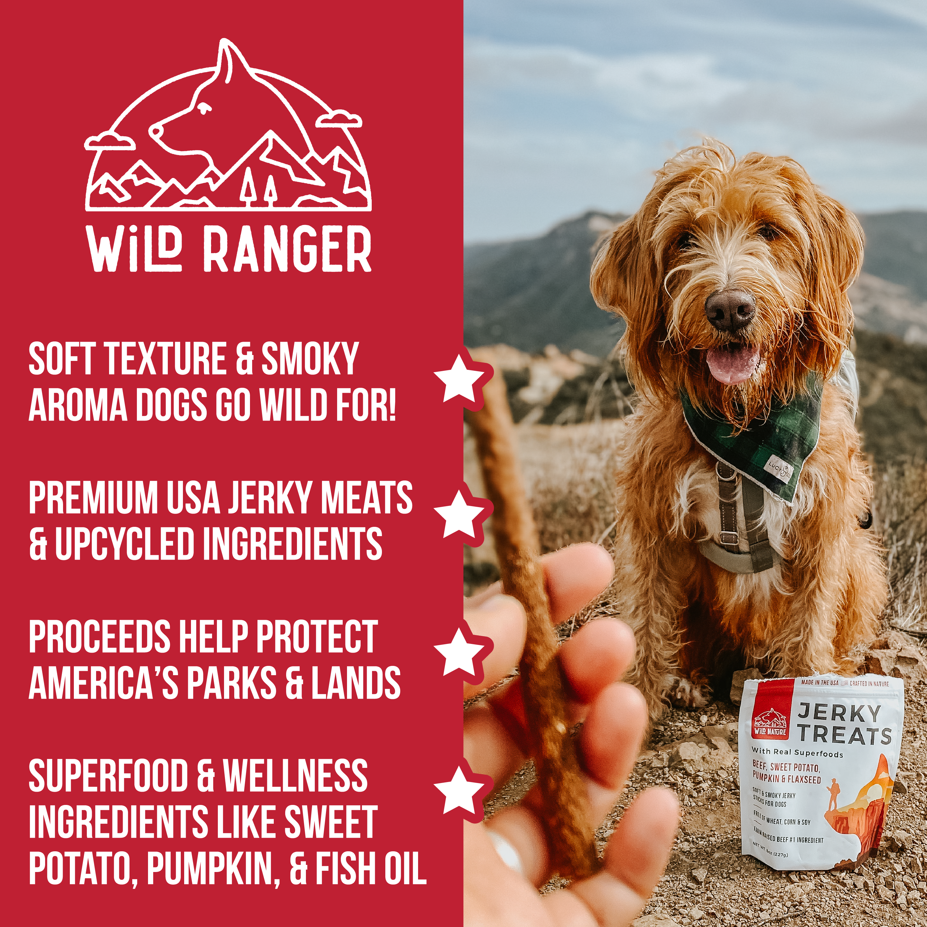 Wild Ranger Beef & Superfoods Jerky Dog Treats (8oz) U3