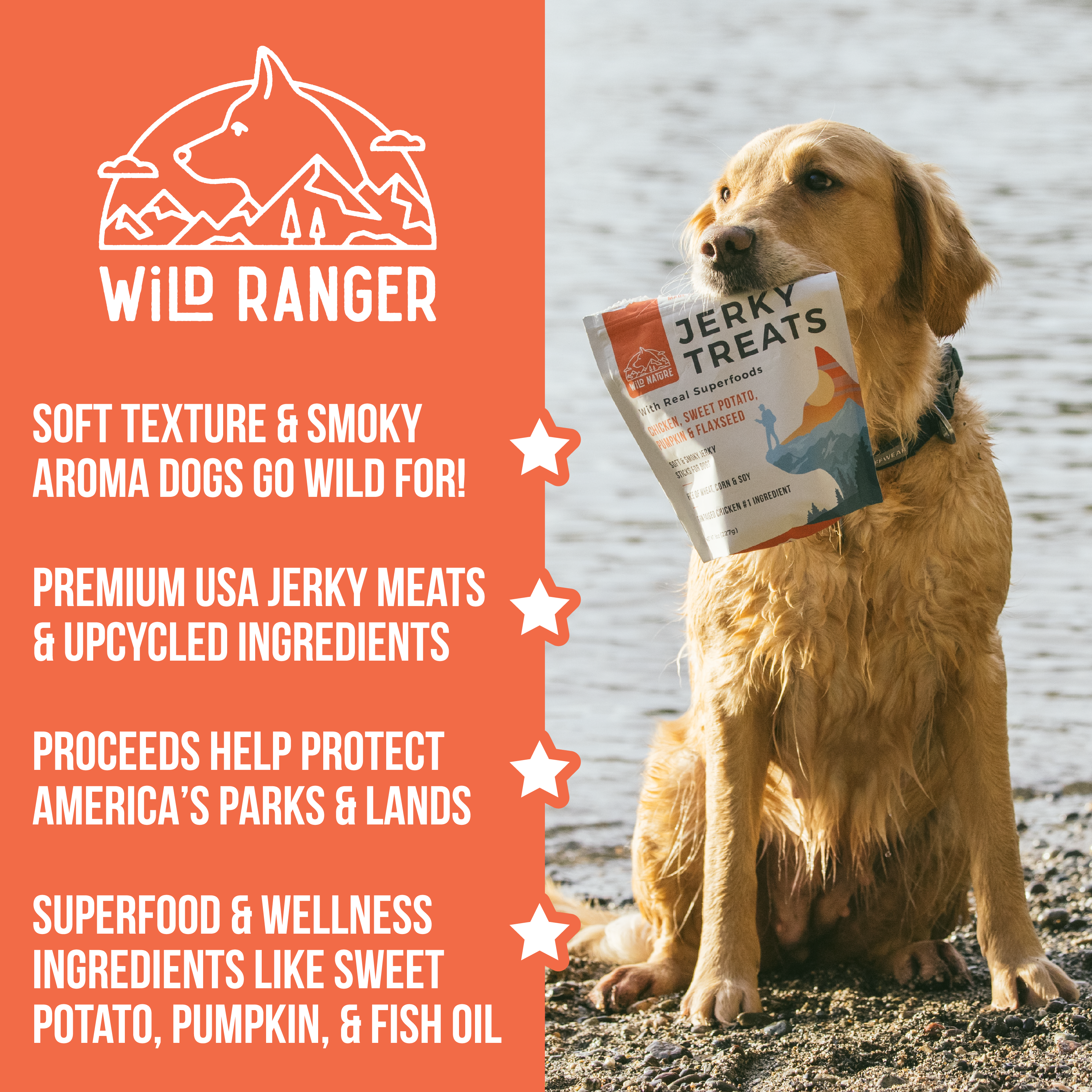 Wild Ranger Chicken & Superfoods Jerky Dog Treats (8oz) E9