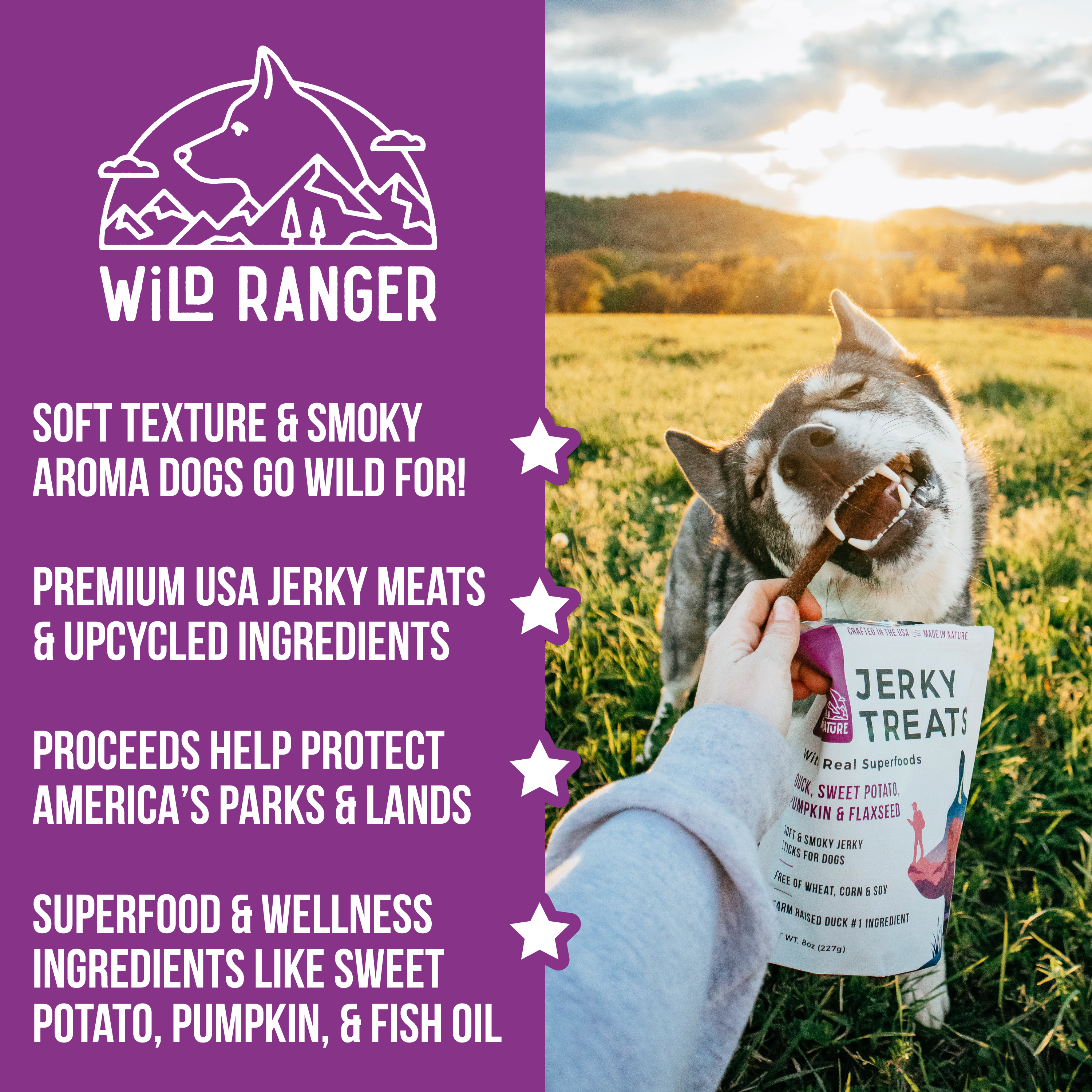 Wild Ranger Duck & Superfoods Jerky Dog Treats (8oz) Y6
